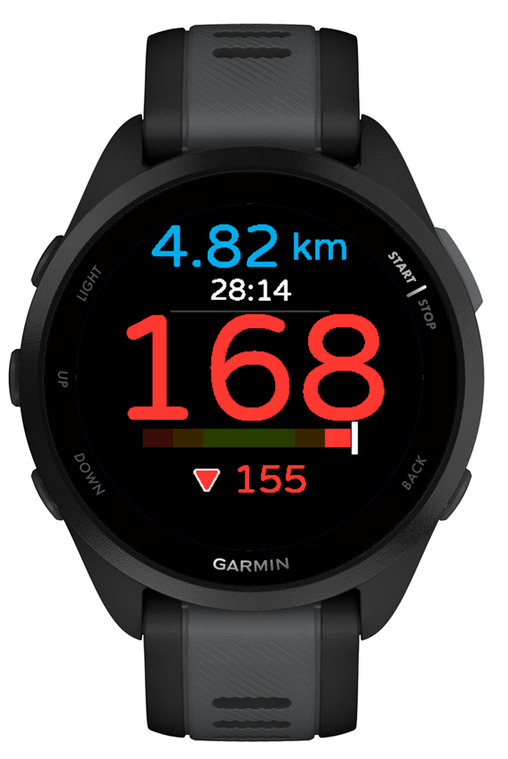 Easy BPM Running — Heart Rate Zone Runner · Screenshot 2