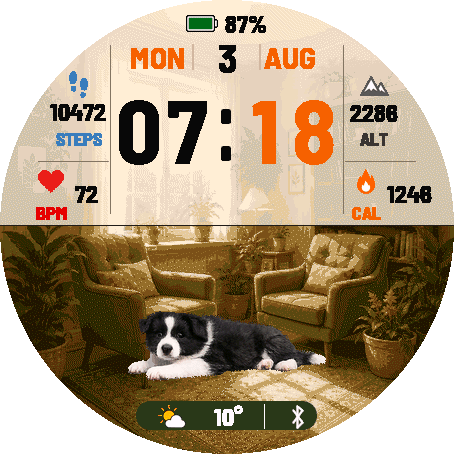 Border Collie Trial · Screenshot 3