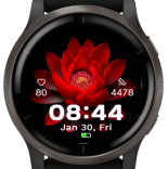 Crimson Lotus · Screenshot 3