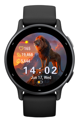 Lion Summit · Screenshot 1