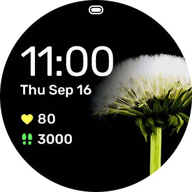 Dandy · Screenshot 2