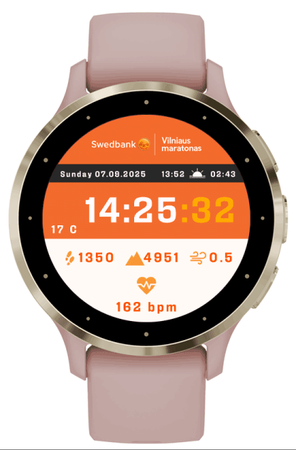 Swedbank Vilnius Marathon · Screenshot 1