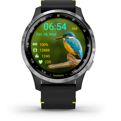 Bird 14 · Screenshot 1