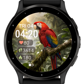 Macaw · Screenshot 3