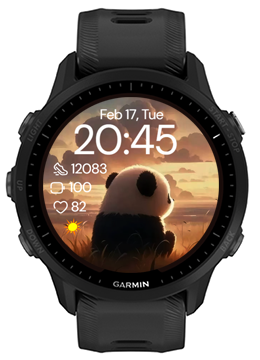 Panda Day · Screenshot 2