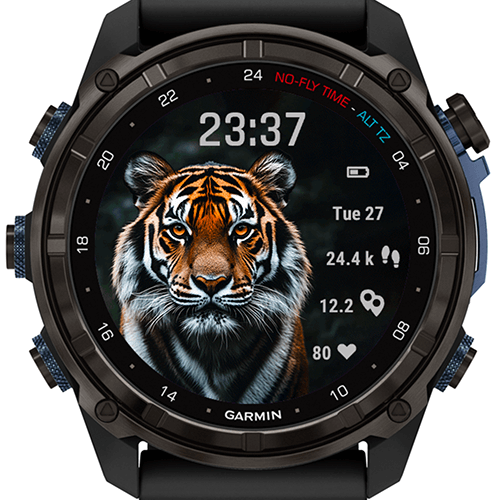 Tiger Focus G · Screenshot 2