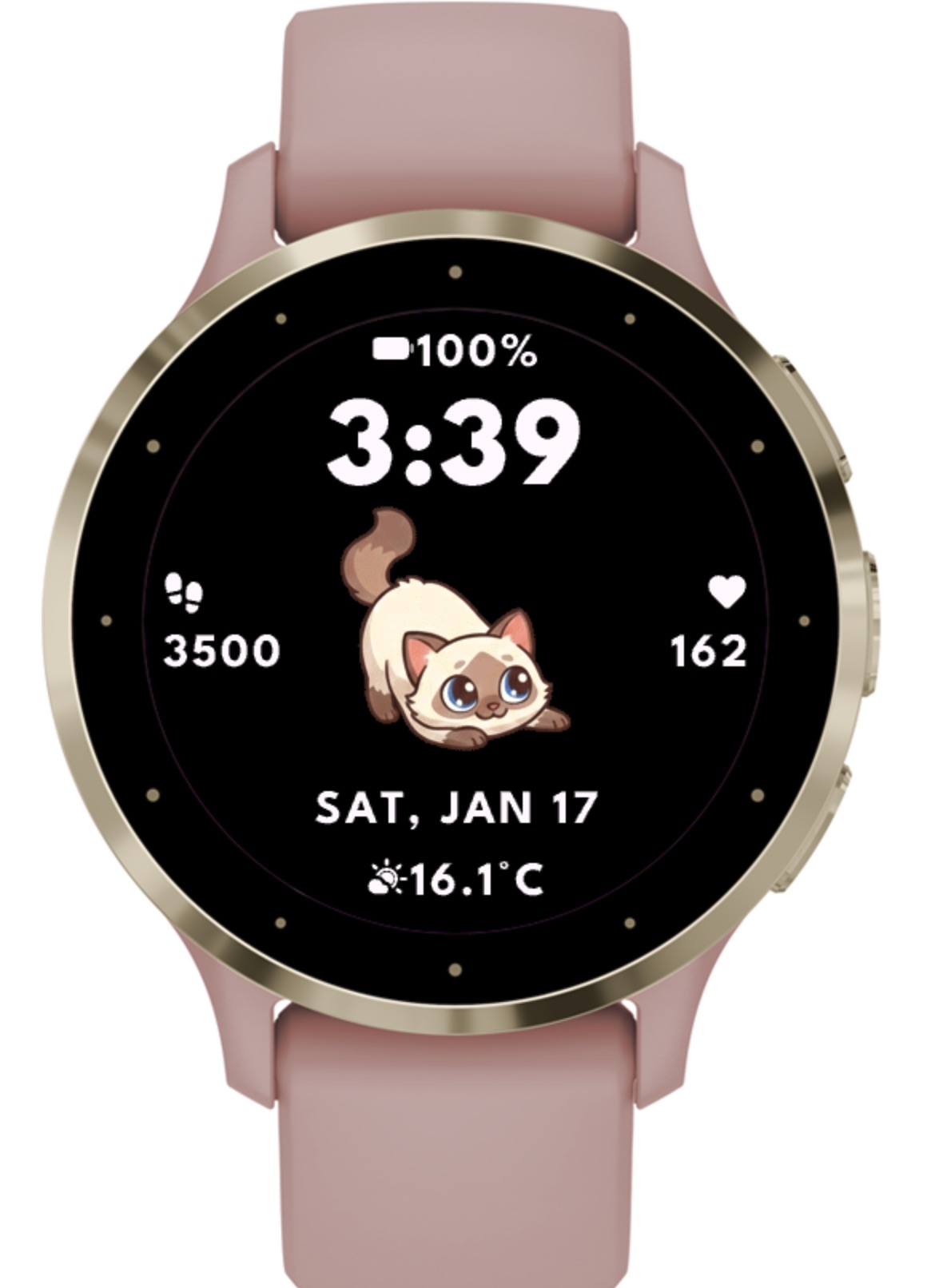 Ragdoll Cat (8 IN 1) · Screenshot 1