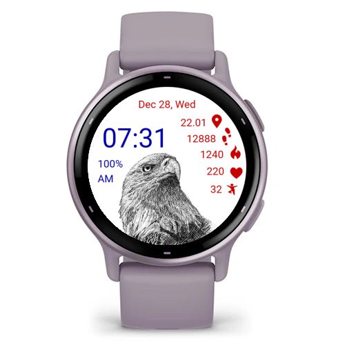 Bald Eagle 01 · Screenshot 4