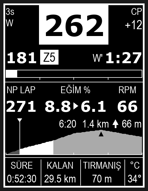 Race Face · Screenshot 3
