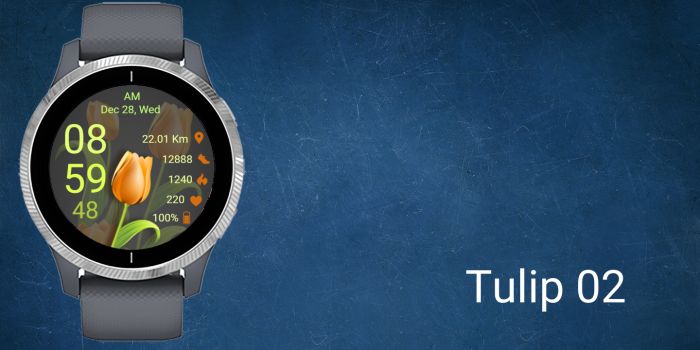 Tulip 02 · Screenshot 0