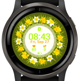 Daisy Border · Screenshot 3