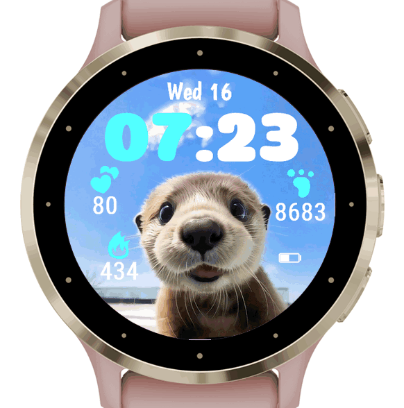 Sunny Otter · G · Screenshot 0