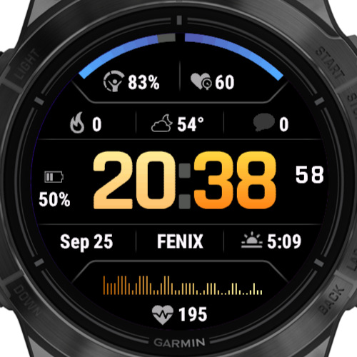 Fenix 5 heart rate on watch face online