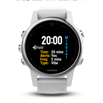 Garmin watch countdown timer hotsell