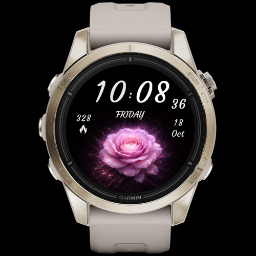 Velvet Rose (Your Data. Your Style) 5
