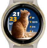 Paw 001 · Screenshot 2