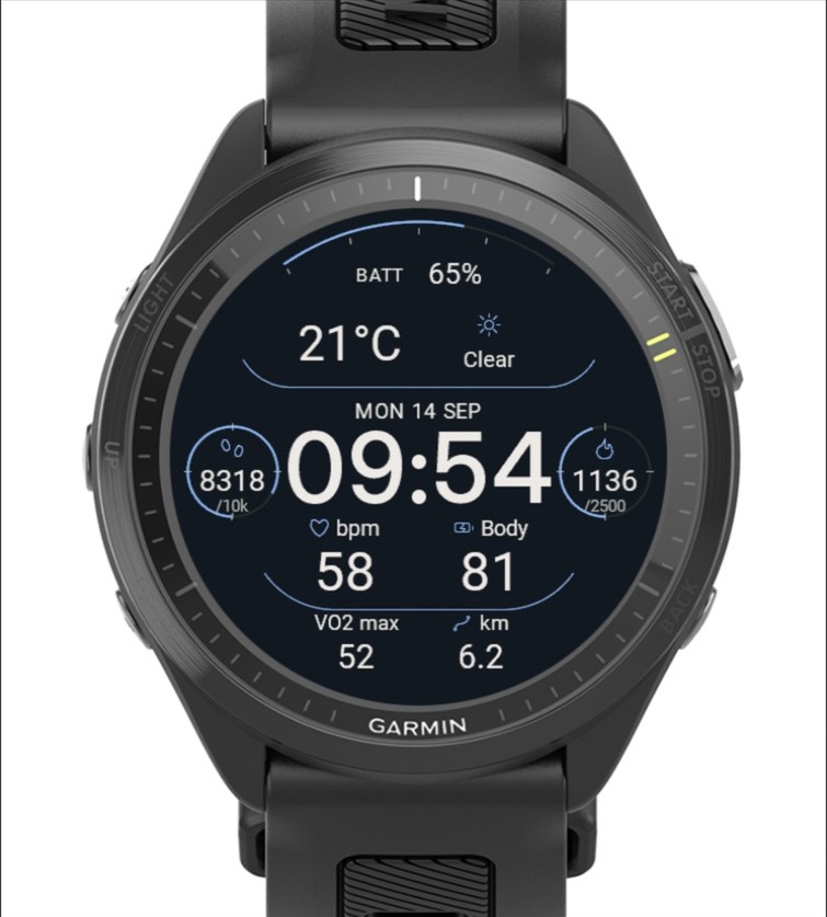 Dialform Data Watch Face · Screenshot 3