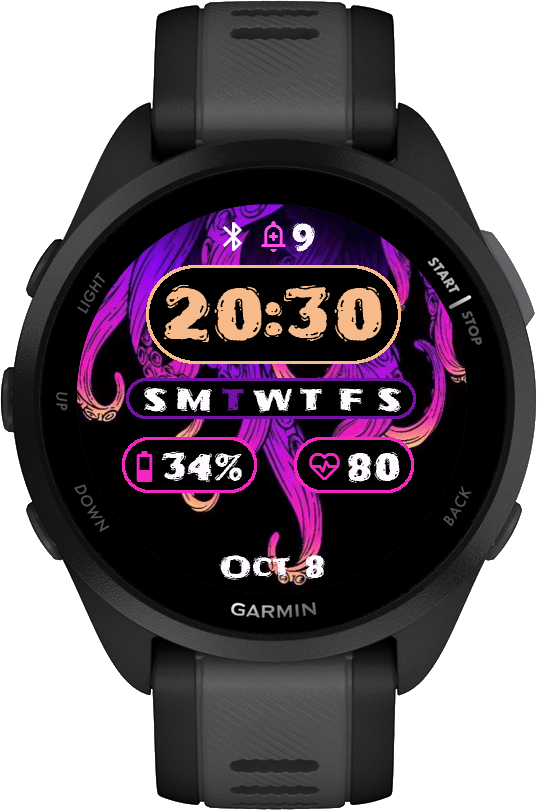 Octo · Screenshot 1
