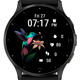 Hummingbird Watch · Screenshot 0