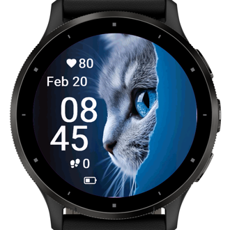 Blue Eyed Cat · Screenshot 2