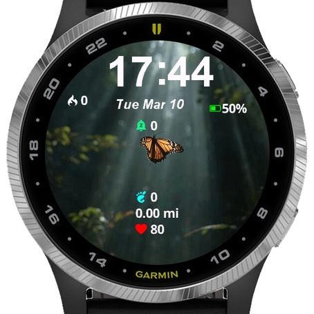 Butterfly Flying 4