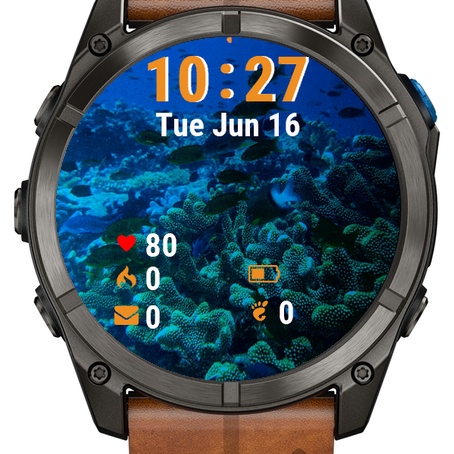 Fish Swimming Over Coral · Screenshot 1
