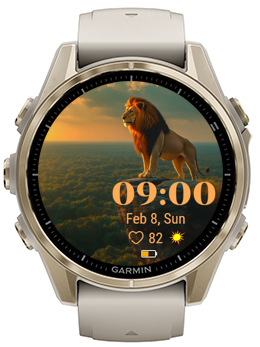 Lion Gaze · Screenshot 1