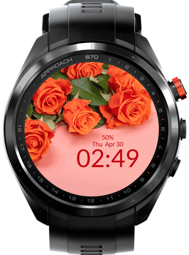 Orange Roses 2