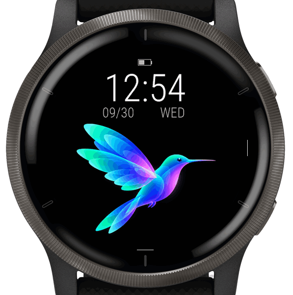 Aurora Humming Bird · Screenshot 3
