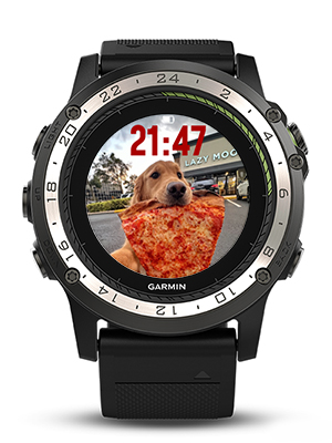 The dog eating pizza · Screenshot 2