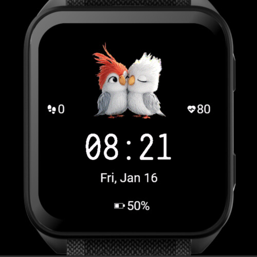 Cute Bird Couple 4