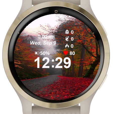 View Road Covered Red Leaves · Screenshot 0