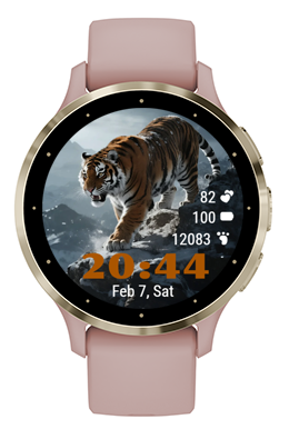 Tiger Five · Screenshot 1