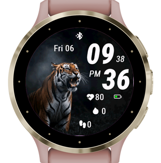 Roar Tiger · Screenshot 0