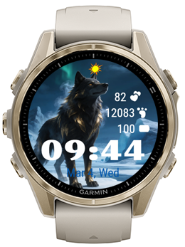 Black Wolf · Screenshot 0