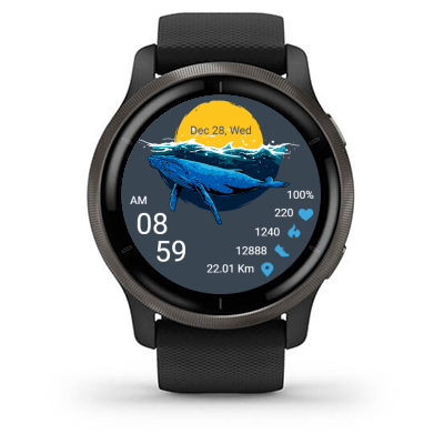 Whale 01 · Screenshot 1