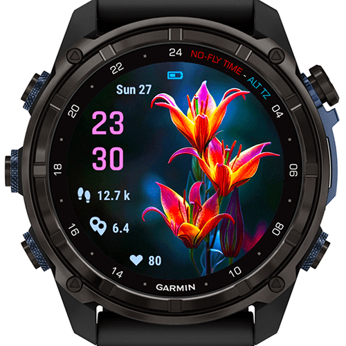 Twilight Fire Flower G · Screenshot 0
