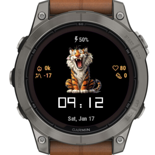 Funny Tiger 2