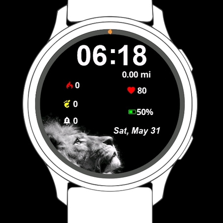 Lion Black · Screenshot 0