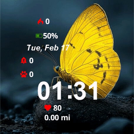 Yellow Butterfly Sitting Rock · Screenshot 2
