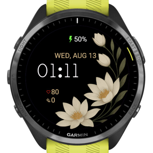 Water lily flowers · Screenshot 0