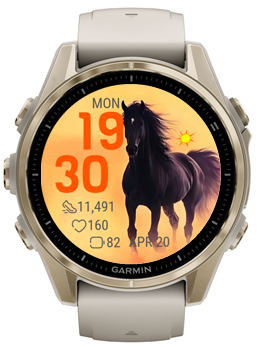 Dark Stallion 2