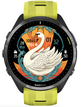 Swan · Screenshot 3