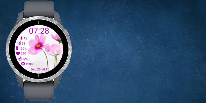 Pink Wind Rose · Screenshot 0