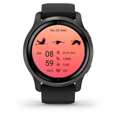 Bird 04 · Screenshot 1