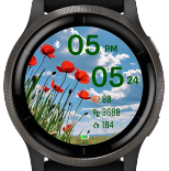 Poppy Sky 5