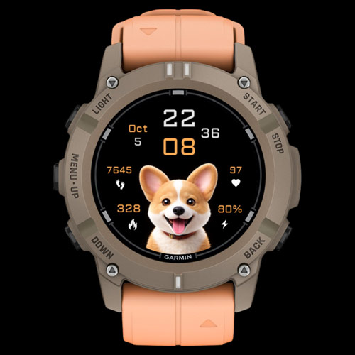 Corgi Digital · Screenshot 2