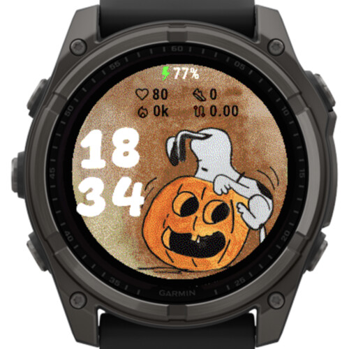 Pumpkin Dog · Screenshot 0