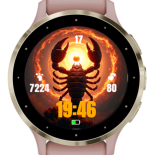Solar Scorpion 3
