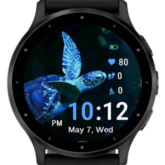 Blue Turtle · Screenshot 1